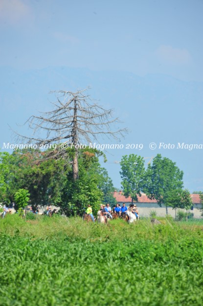 DSC_7489.JPG